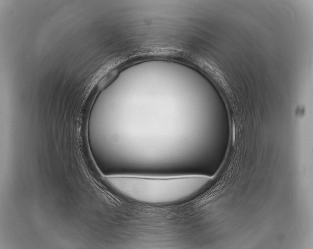 X0000089660483200706210734