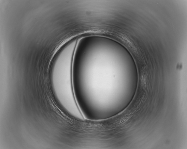 X0000089660484200706210734