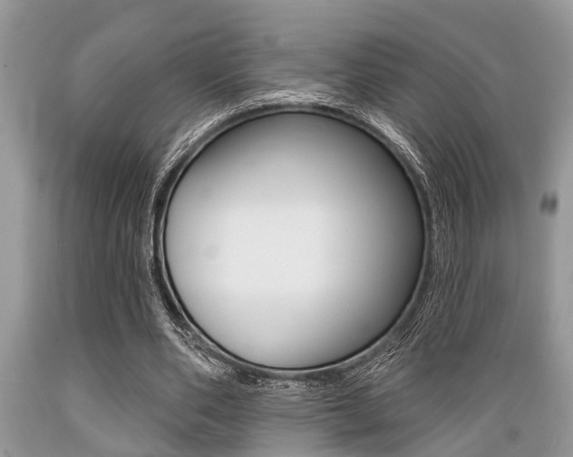 X0000089660486200706210734