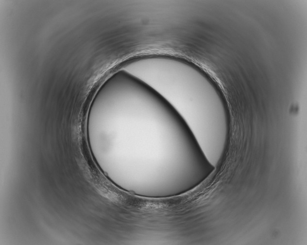 X0000089660487200706210733