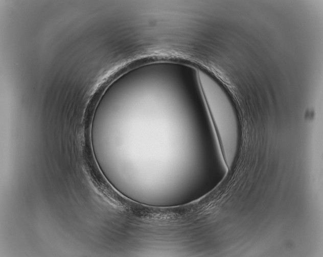 X0000089660488200706210733