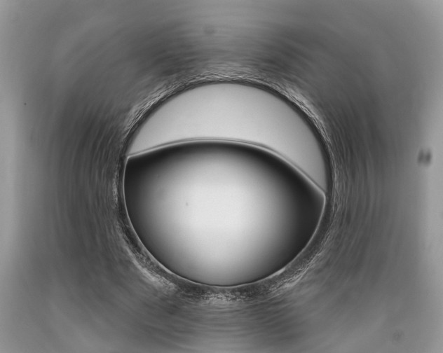 X0000089660489200706210733