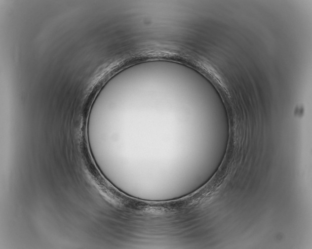 X0000089660490200706210733