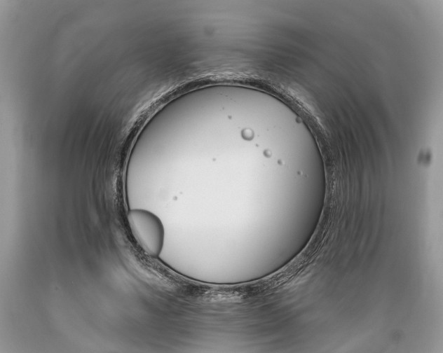 X0000089660491200706210733