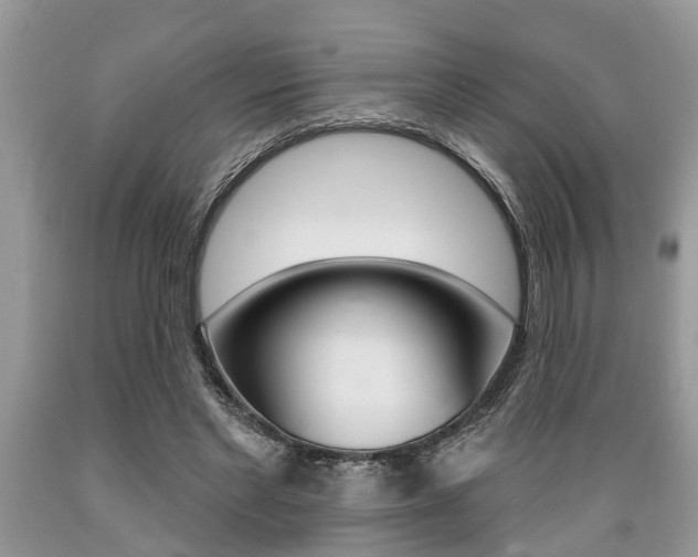 X0000089660493200706210733