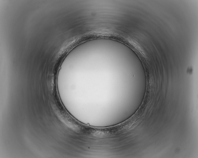 X0000089660494200706210733