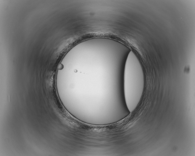 X0000089660495200706210733