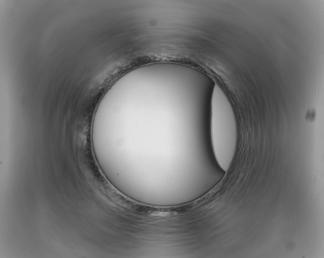 X0000089660499200706210733