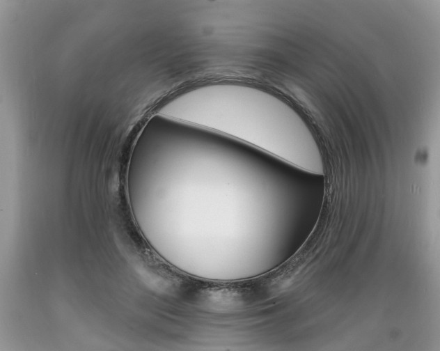 X0000089660500200706210733