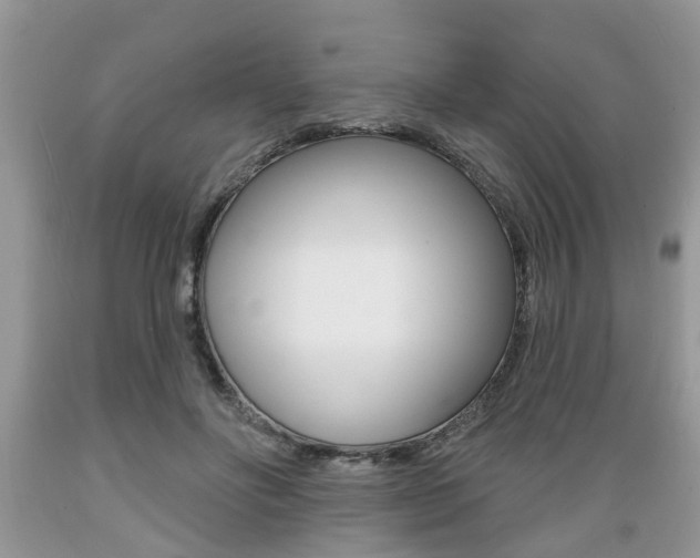 X0000089660502200706210733