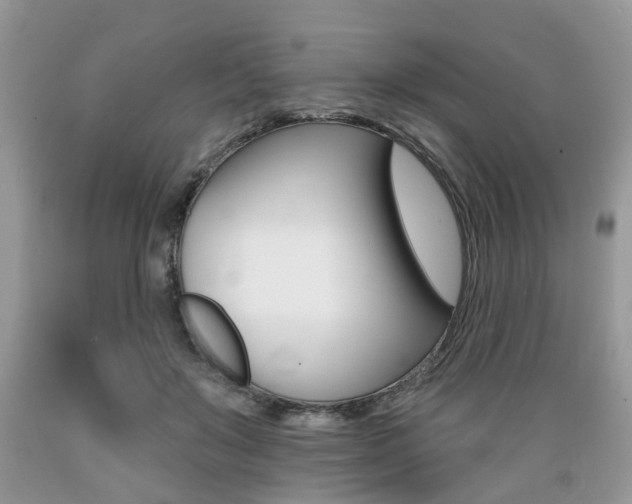 X0000089660503200706210733