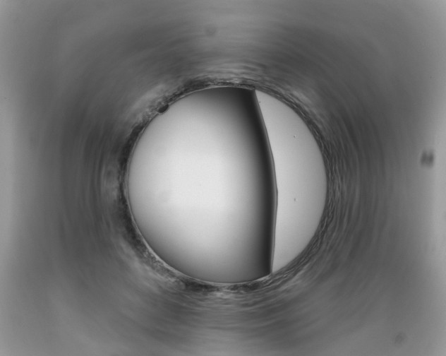 X0000089660504200706210733