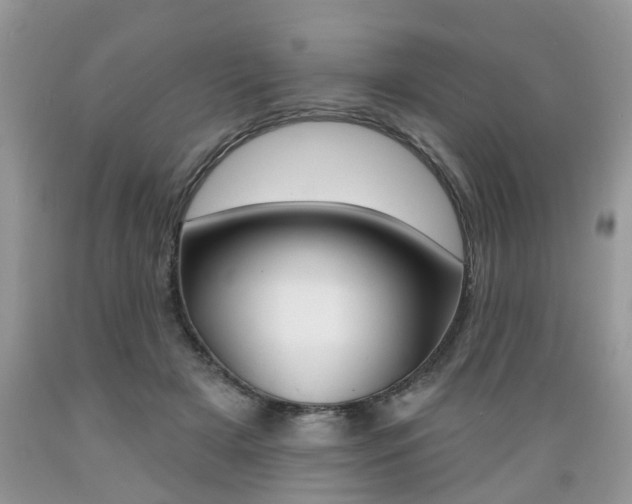 X0000089660505200706210733