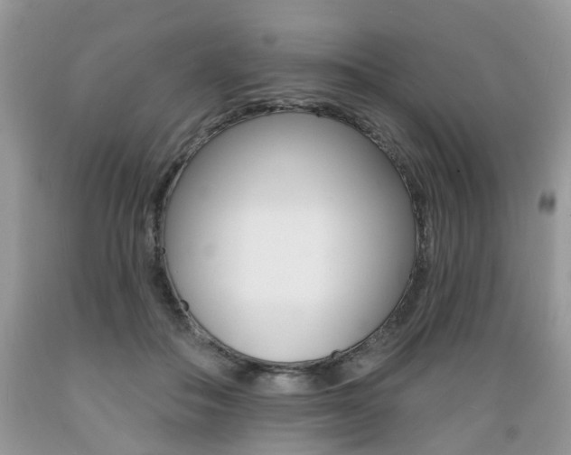 X0000089660506200706210733