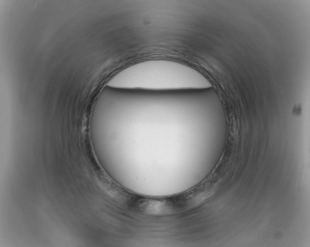 X0000089660507200706210733