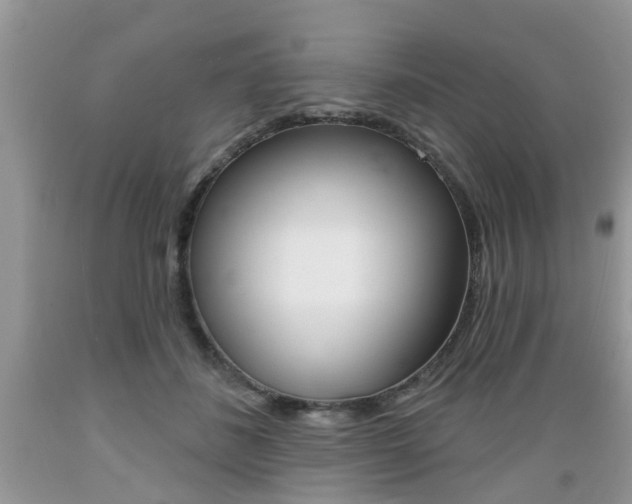 X0000089660508200706210733