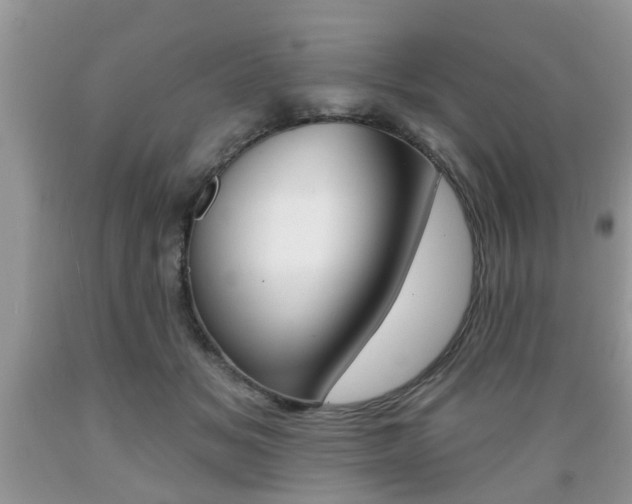 X0000089660509200706210733