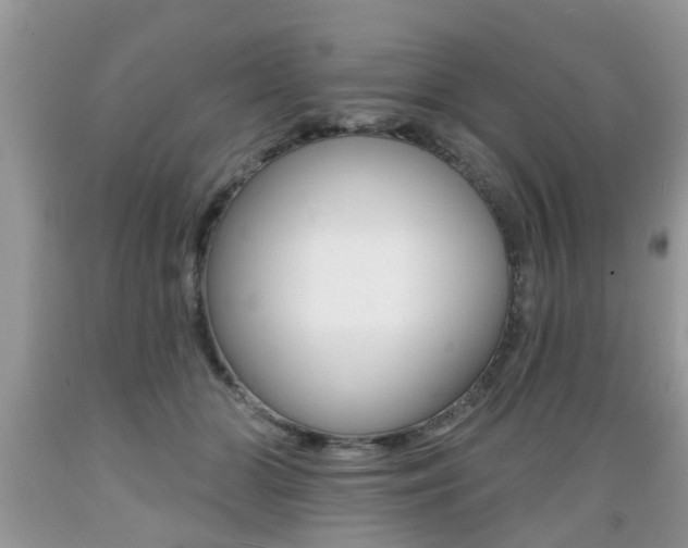 X0000089660510200706210733