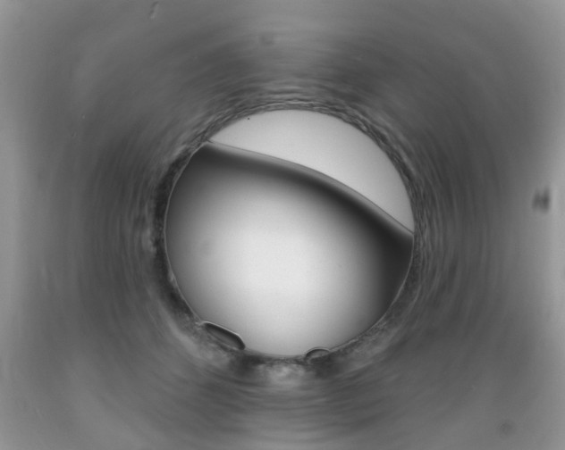 X0000089660512200706210733