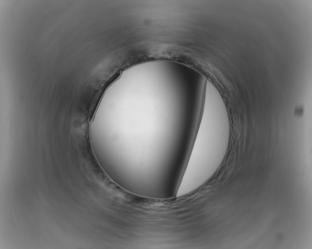 X0000089660513200706210733