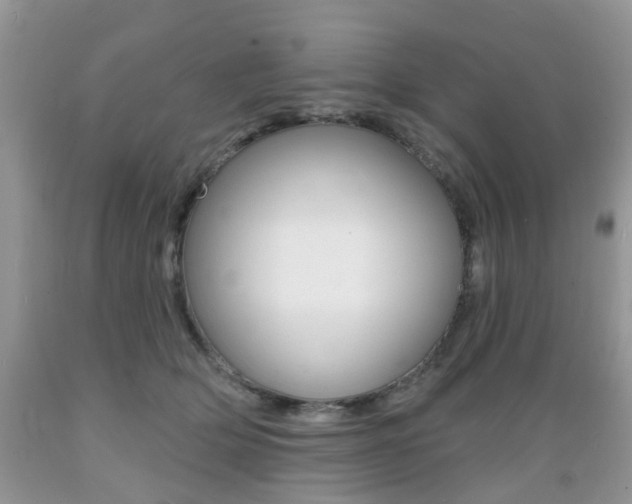 X0000089660514200706210733