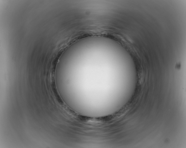 X0000089660515200706210733