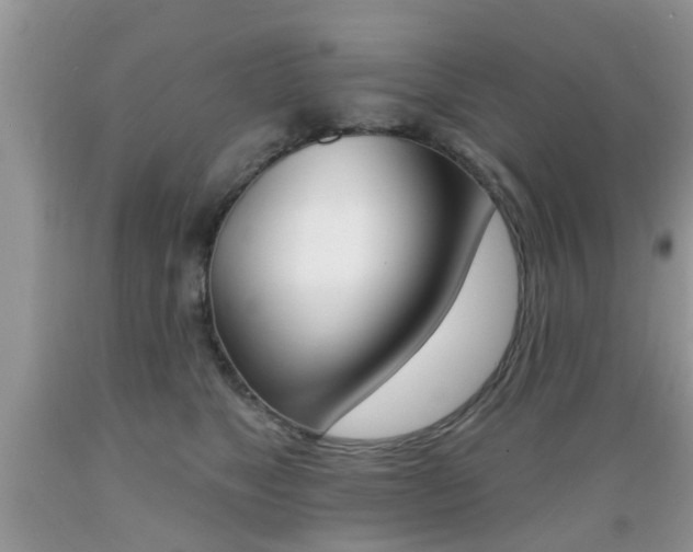 X0000089660517200706210733