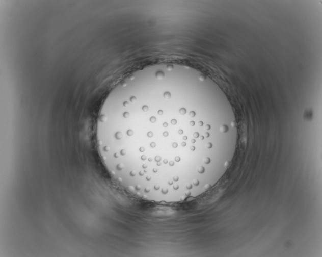 X0000089660519200706210733