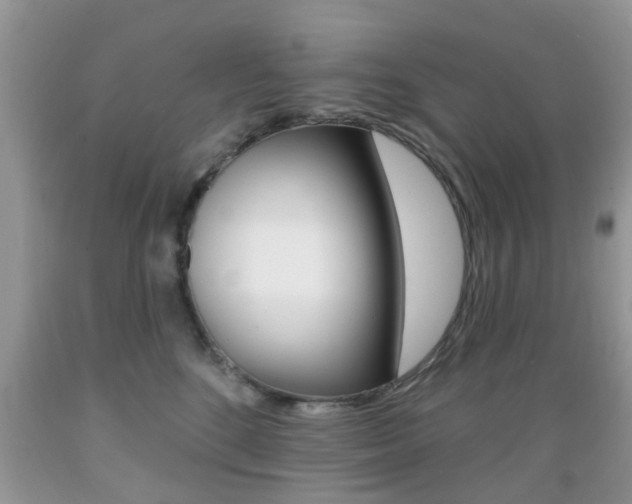 X0000089660520200706210733