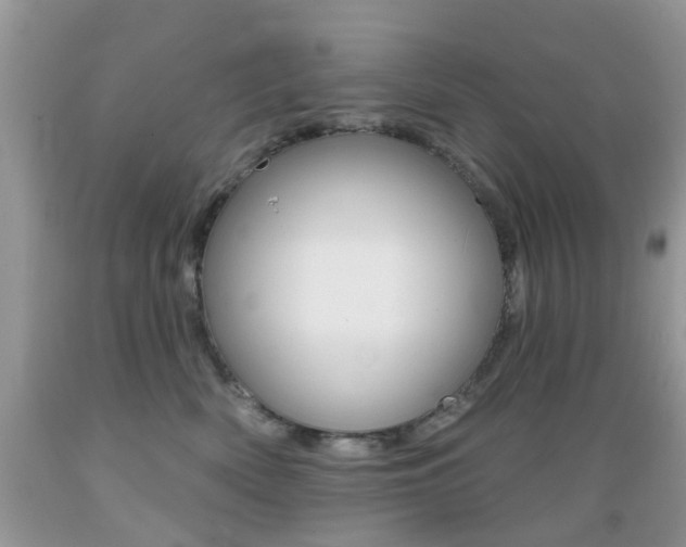X0000089660522200706210733