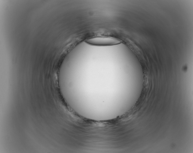 X0000089660523200706210733