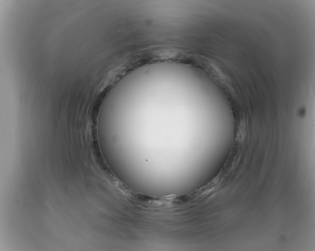 X0000089660524200706210733