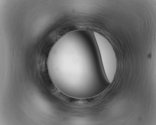 X0000089660525200706210733