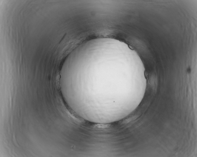 X0000089660526200706210733