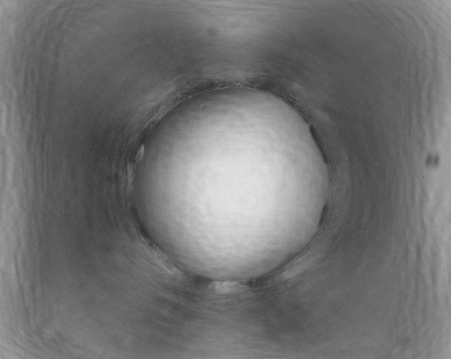 X0000089660528200706210733
