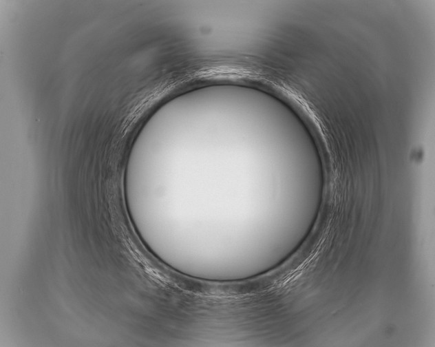 X0000089660529200706210732