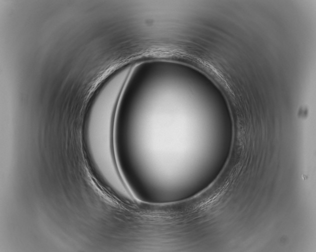 X0000089660530200706210732