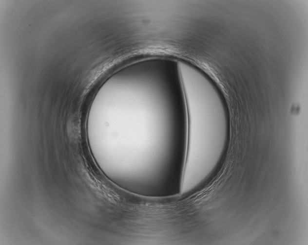 X0000089660531200706210732