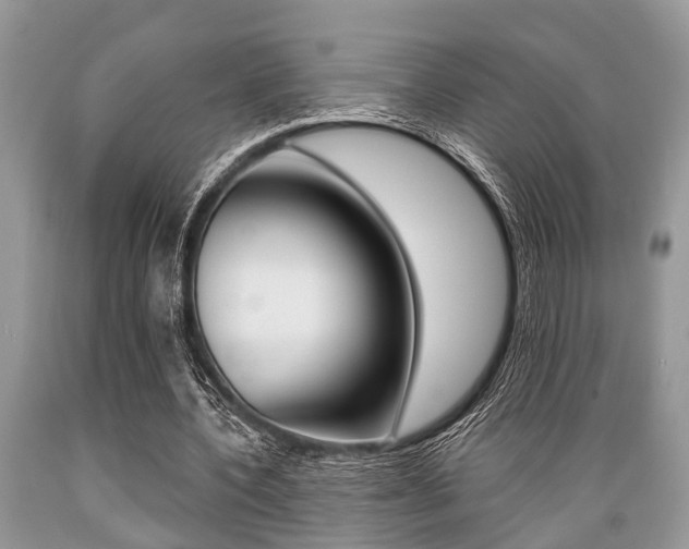 X0000089660532200706210732