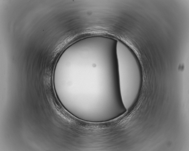 X0000089660533200706210732