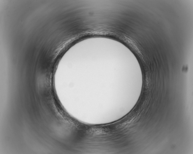X0000089660534200706210732