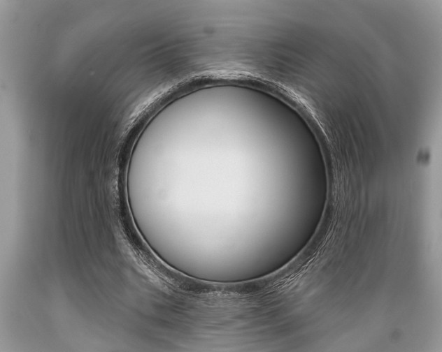X0000089660535200706210732