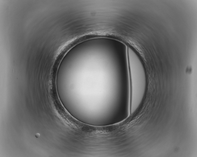 X0000089660536200706210732