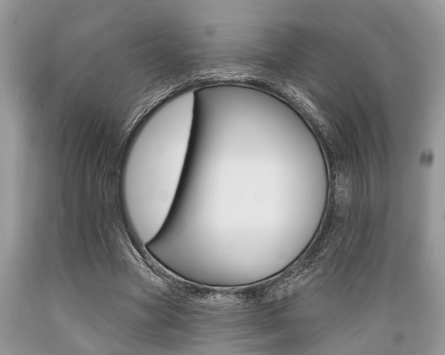 X0000089660537200706210732