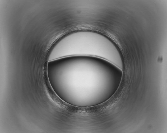 X0000089660538200706210732