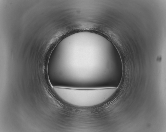 X0000089660539200706210732