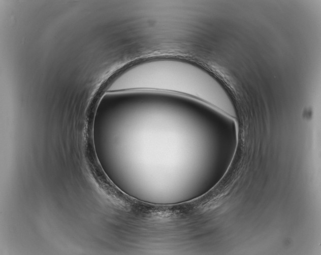 X0000089660540200706210732