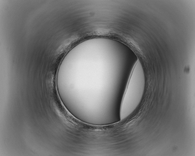 X0000089660542200706210732