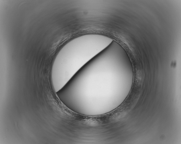 X0000089660545200706210732