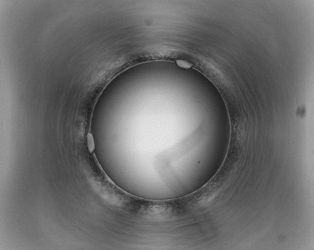 X0000089660546200706210733